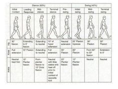 a chart showing the steps to walking in different directions, with instructions for each step