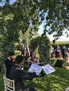 an orchestra playing in the middle of a park