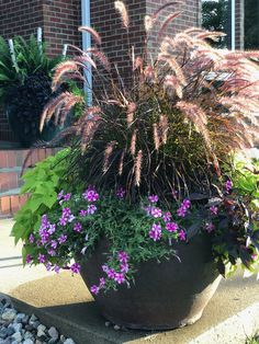 some purple flowers are in a large pot