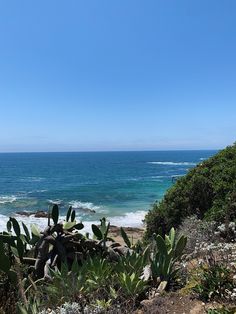 an ocean view from the top of a hill with cactus in foreground and blue sky above