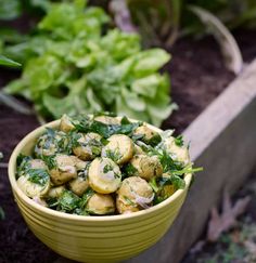 a yellow bowl filled with green vegetables next to some dirt and plants in the background