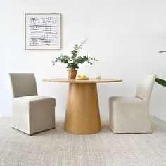 two chairs and a table in a room with a plant on the floor next to it