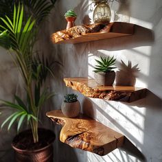 three wooden shelves with succulents and potted plants on them against a white wall