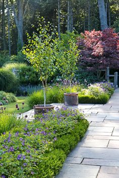 a garden with lots of flowers and trees