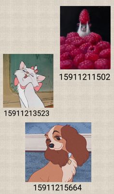 the evolution of disney's character names