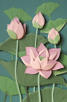 some pink flowers and green leaves on a blue background