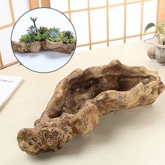 a piece of drift wood sitting on top of a table next to a potted plant