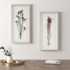 two framed flowers are on the wall above a table