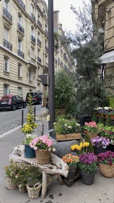 many potted plants are on the side of the street