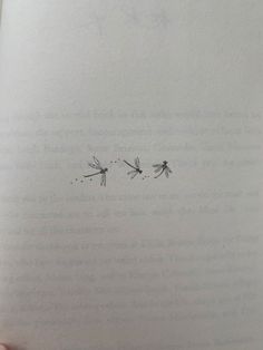 an open book with two dragonflies drawn on it