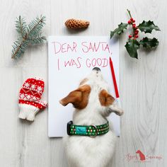 a dog is looking up at a note that says dear santa, i was good