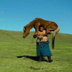 a woman is holding a horse over her head while standing in the middle of a field