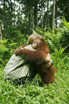 a woman hugging an oranguel in the jungle