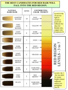 Levels Of Hair Color, Hair Color Wheel, Hair Chart, Hair Levels, Hair Science, Yellow Blonde, Redken Hair Products, Hair Color Formulas, Hair Color Chart