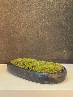 a moss covered object sitting on top of a white shelf