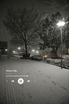 a snow covered park at night with street lights