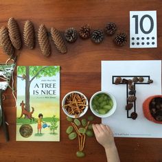 there is a child's hand next to some pine cones and other things on the table