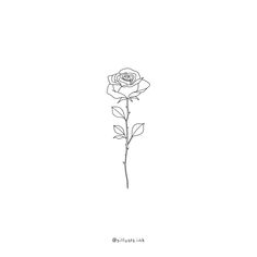 a single rose is shown in the middle of a line art drawing, it appears to be black and white