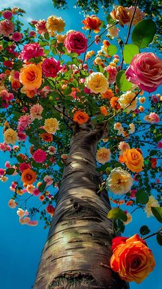 a tall tree with lots of colorful flowers growing on it's trunk and branches