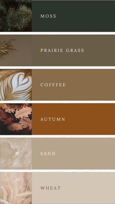 different shades of autumn and winter are featured in the color palettes on this page