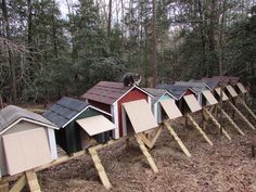 there are many small houses in the woods with one cat on it's roof