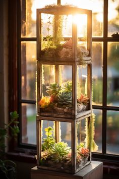 an assortment of succulents and other plants are displayed in front of a window