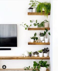 a flat screen tv sitting on top of a wooden shelf next to potted plants