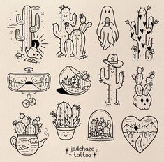 a drawing of cactuses and cacti in various shapes, sizes and colors