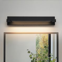 a bathroom mirror sitting above a sink next to a potted plant and a window