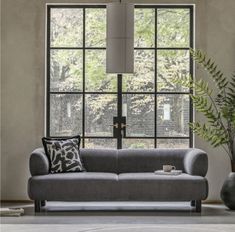 a living room with two large windows and a gray couch in front of the window