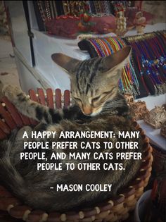 a cat sleeping in a basket with a quote from mason coley on it that says, a happy arrangement many people prefer cats to other people and many cats prefer