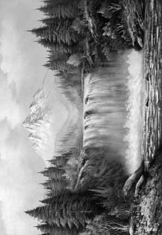 a black and white drawing of trees on the side of a mountain