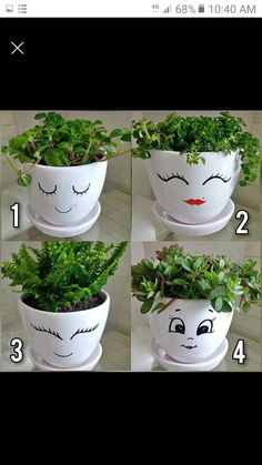 the instructions for how to make a planter with faces on it and plants growing in them