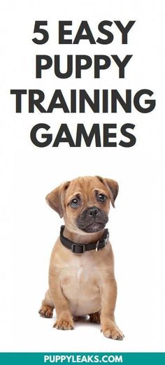 a puppy sitting down with the words 5 easy puppy training games