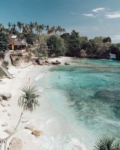 people are swimming in the clear blue water on a tropical beach with white sand and palm trees