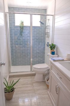 a white toilet sitting next to a shower in a bathroom under a blue tiled wall