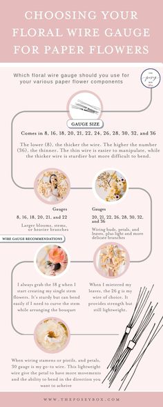 an info sheet with different types of food on it