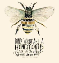 a bee with the words kind words are a honeycomb, and there is no image to describe