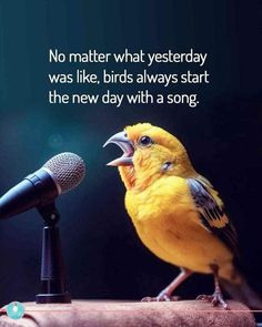 a yellow bird singing into a microphone with the words, no matter what yesterday was like birds always start the new day with a song