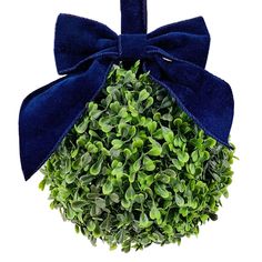 a blue bow hanging from the top of a round boxwood bush with green leaves