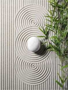 a white rock sitting on top of a cement floor next to a green leafy plant