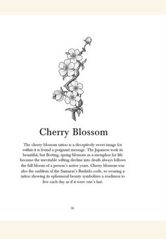 the back cover of cherry blossom, with an illustration of flowers in black and white