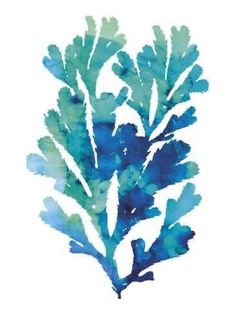 watercolor painting of blue seaweed on white background