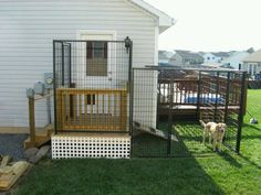 a dog is standing in front of a fenced off area with his cage on the grass