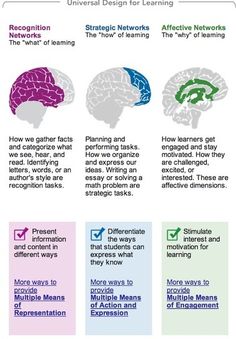 four different types of learning styles and their functions in the human body, with text below