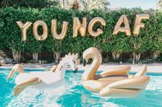 two inflatable flamingos floating on top of a pool next to a sign that says young af