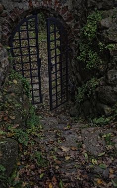 an open gate is surrounded by leaves and rocks