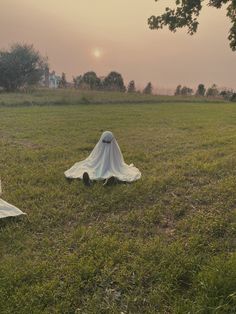 two white cloth covered objects sitting on top of a lush green field