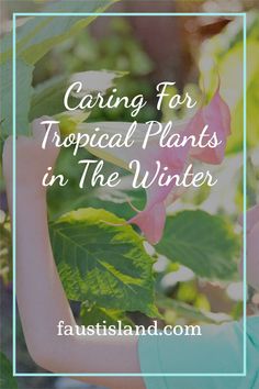 a woman holding flowers with the words caring for tropical plants in the winter on it