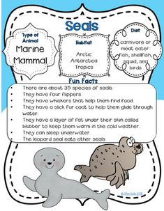 marine animals and their names are shown in this printable activity for kids to learn how to